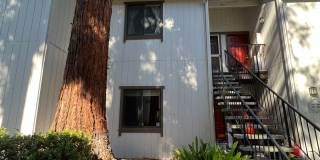 Bright Spacious Downstairs 1 bedroom 1 bath Condo in Serene North San Jose Community Gallery 12