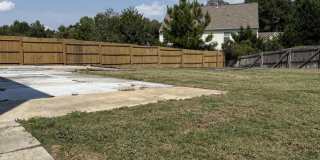 2902 Framer Lane Gallery 34