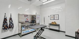 Spera Gallery 33