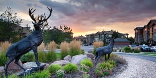 The Sanctuary at Tallyn’s Reach Apartments Gallery 20