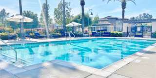 44011 Rivo Court Gallery 30