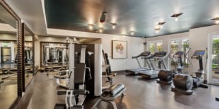 Candara at Hancock Park Gallery 2