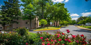 Spring Ridge Apartments Gallery 7