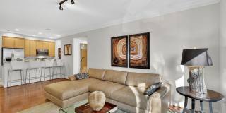 1115 CAMERON Street unit: 211 Gallery 1