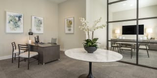 Lago Gallery 10