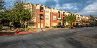 Oasis at Piney Point Gallery 1