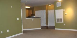 22706 BLUE ELDER Terrace Gallery 7
