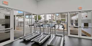 Princeton Groves Gallery 4