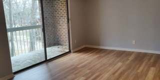 Three bedroom, 2 bath condo in Raleigh-$250 off first month! Gallery 4