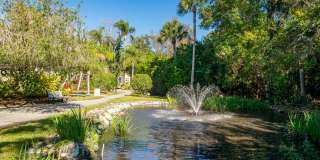 Imperial Palms Gallery 49