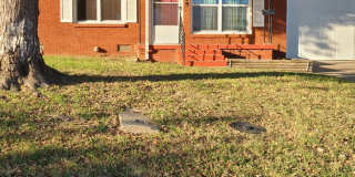 Quiet Neighborhood! Gallery 1