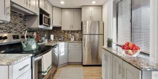 ReNew Washington Park Gallery 1