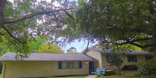 223 Woodbine Gallery 1