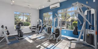 Stone Canyon Gallery 37