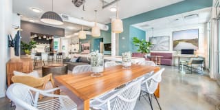 The Boulevard Gallery 25