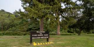 The Washingtons Gallery 26