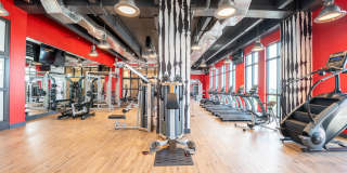 Windsor Ludlam Trail Gallery 31