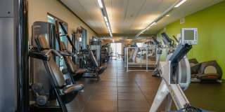 1 BEACH DRIVE SE Gallery 44