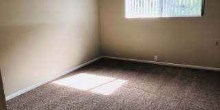 Garden View Gallery 37