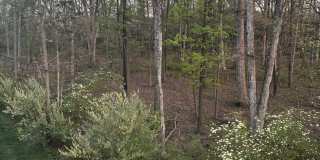 42482 DOGWOOD GLEN Square Gallery 32