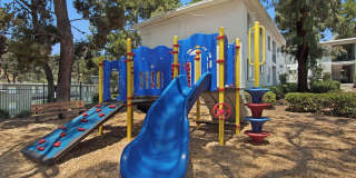 Lantana Hills Apartment Homes Gallery 19