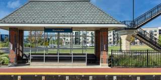 Station 250 Mundelein Gallery 61