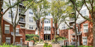 1625 INTERNATIONAL DR #321 Gallery 2