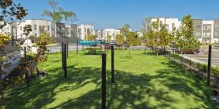 Flagler Crossing Gallery 21