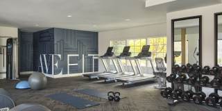 AVE Malvern Gallery 12