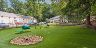 Lake Johnson Mews Gallery 18