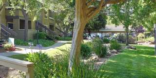 Monte Vista Apartments Gallery 23