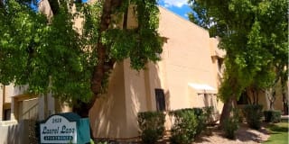 Laurel Lane Gallery 2