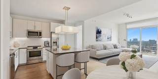 Luminary Residences Gallery 55