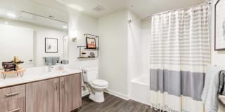 Essence Essence Gallery 10