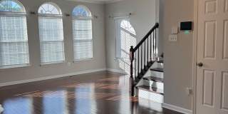 4619 FOREST PINES Drive Gallery 2