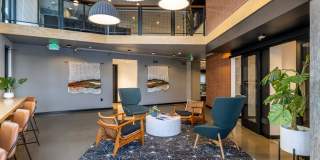 Arlo Gallery 32