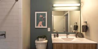 Tempo Cambridge Gallery 50