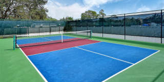 712 WHITE PINE TREE ROAD Gallery 48