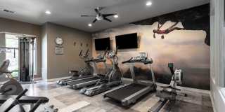 The Windsor Gallery 12