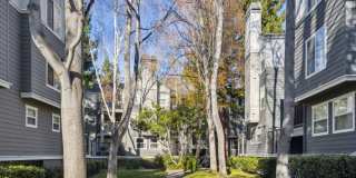 Sofi Sunnyvale Gallery 24