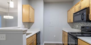 Breakers Point Apartments Breakers Point Apartments Gallery 4
