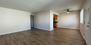 1702 W Tuckey Ln Unit 231 Gallery 3