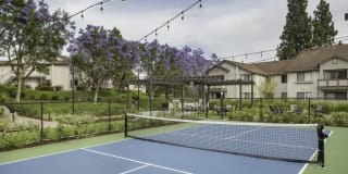 The Arbors Gallery 6