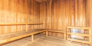 The Orsini Gallery 46