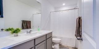 5215 Lissome Lily Court Gallery 30