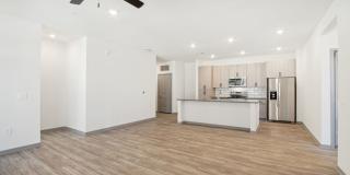 The Maddox Gallery 71