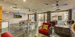 Skyline Farmers Market Gallery 17