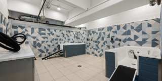 The Scottie Gallery 33