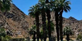 78130 Cortez Lane Gallery 9