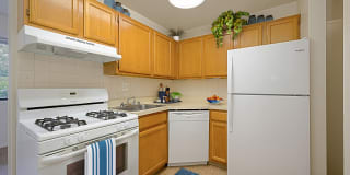 Seven Springs Apartments Gallery 12